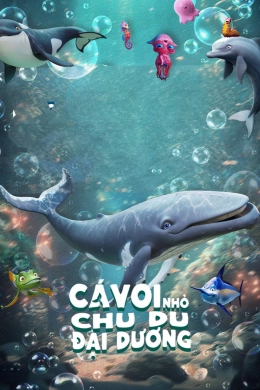 Cá Voi Nhỏ Chu Du Đại Dương